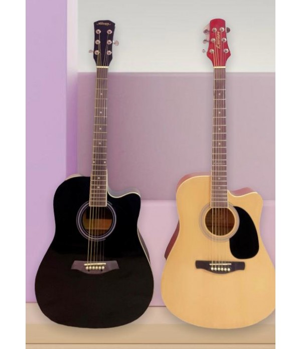 acoustic guitar