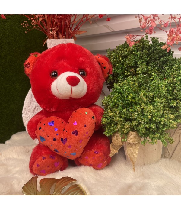 Valentine's day gift teddy