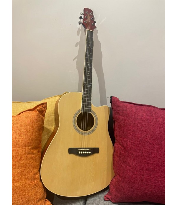 Acoustic guitar